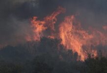 Μία «ανάσα» πριν την τουριστική σεζόν: Ούτε Έβρος Pass, ούτε Δαδιά Pass…